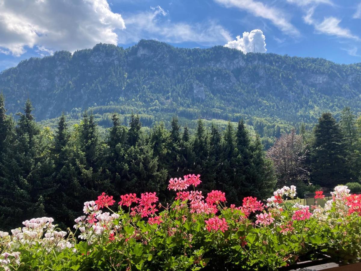 Ferienwohnung Mit Seeblick, Unterach Am Attersse Unterach am Attersee Exterior photo